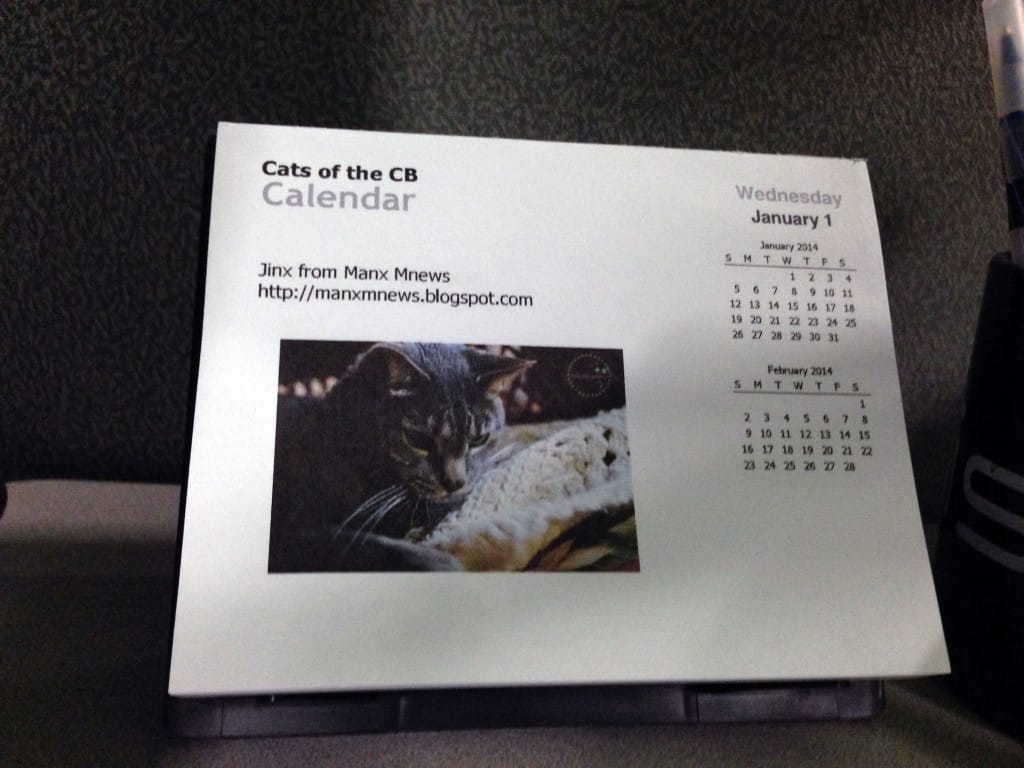 Cats of the CB Calendar Mr Jinx