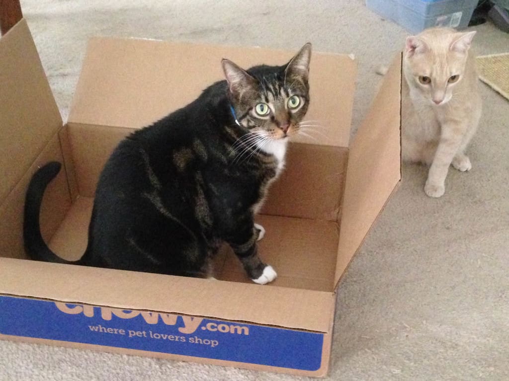 Cousin_Shep_and_Earl_in_box