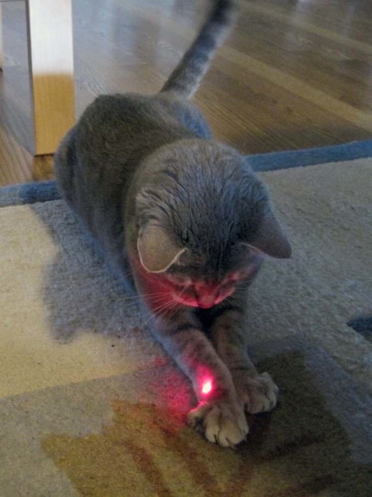 Pierre and the red dot