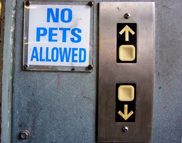 no pets allowed sign