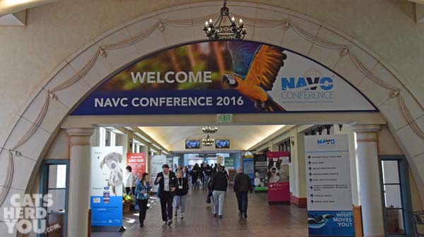 NAVC Welcome Banner and Arch