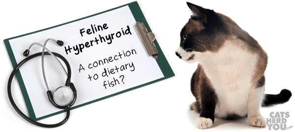 Feline hyperthyroidism: a link to dietary fish? 