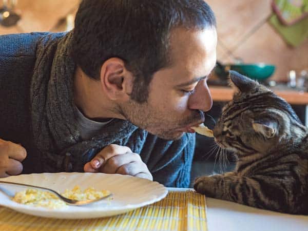 man shares lunch with cat