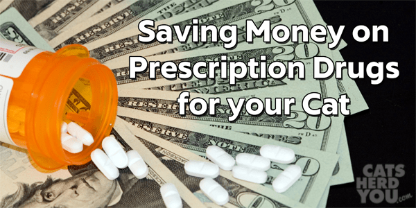 saving money on prescription medications for your cat