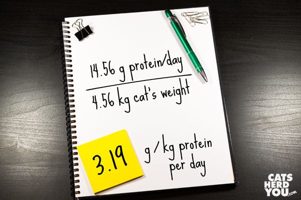 Calculating the protien in cat food example 3
