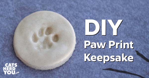 DIY Paw Print Keepsake