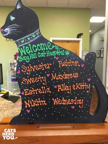Welcome sign at Bay Hill Cat Hospital for Ashton