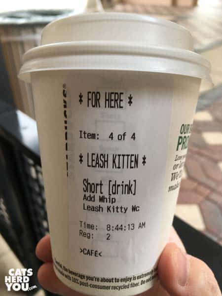 Starbucks cup with "leash kitten" as the customer name