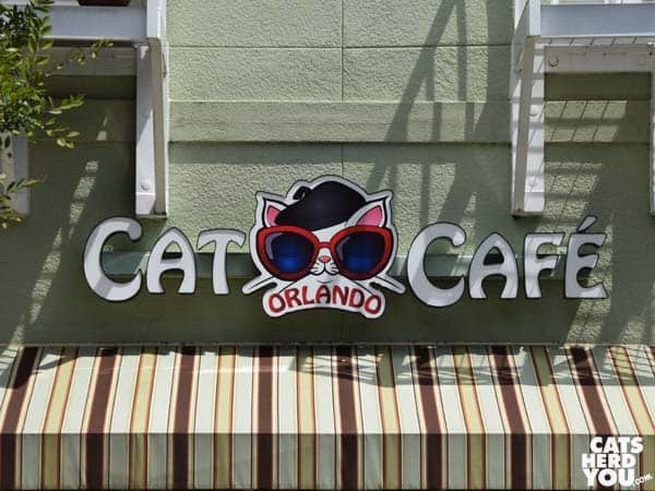 Orlando Cat Cafe sign