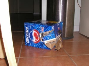 09_PierrePepsiBox