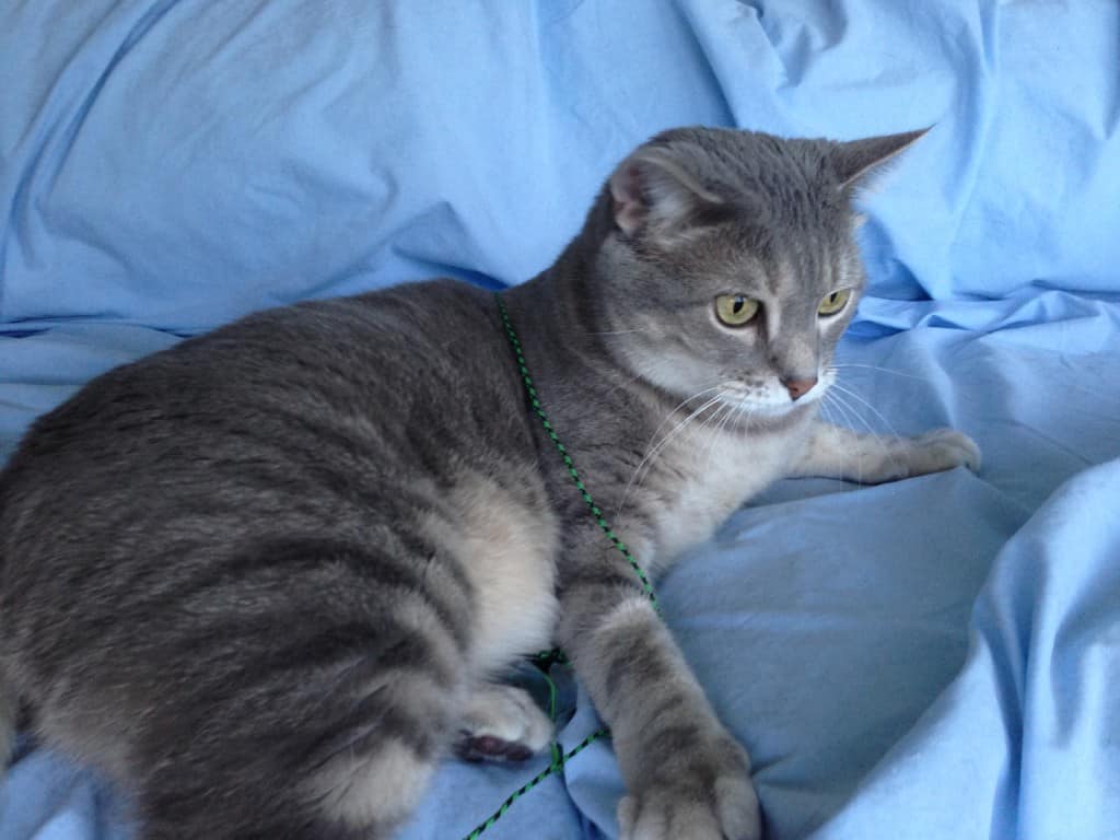 2013-08-08 19.41.41