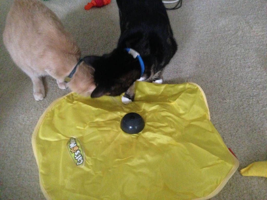 Shep and Earl 20131015-1