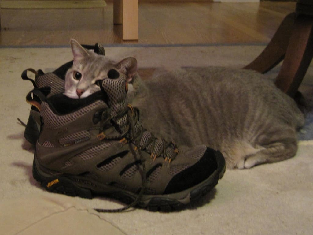 Pierre Stalks Behind Boots 01