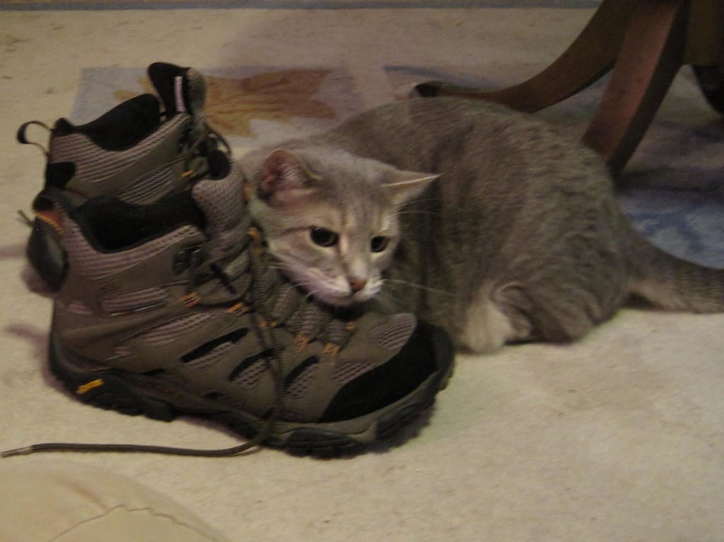 Pierre Stalks Behind Boots 02
