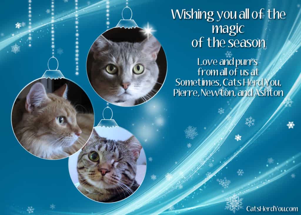 Sometimes Cats Herd You Holiday Card 2013