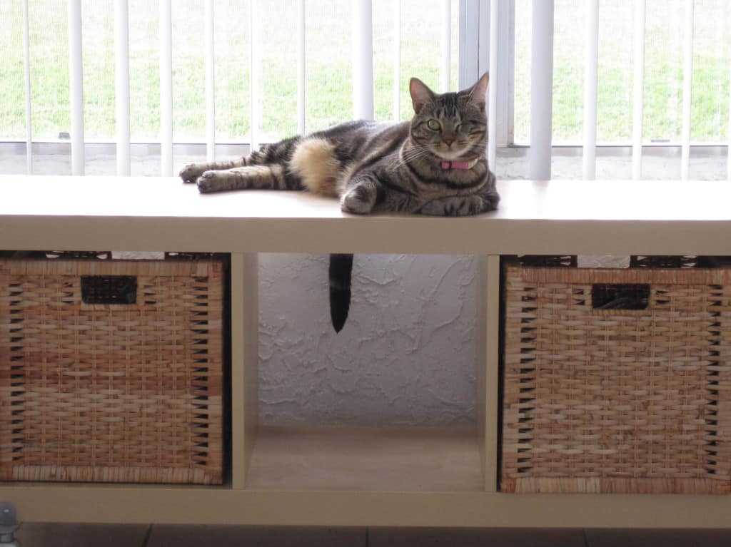 Ashton Lounges with hanging down tail