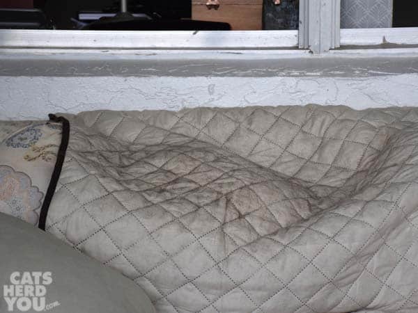A lump under the sofa protector