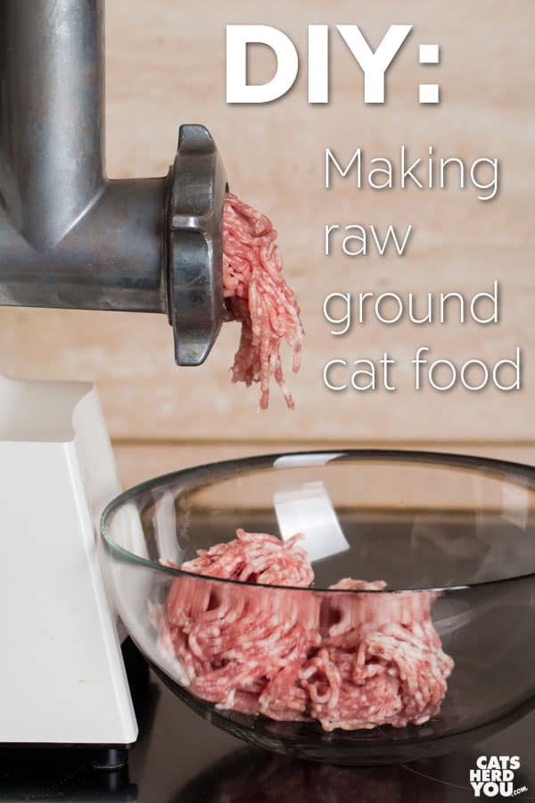 Making DIY raw ground cat food isn't hard at all! You can make balanced, nutritious food for your cat in your own kitchen. 