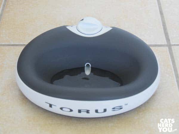 heyrex torus bowl