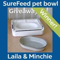 SureFeed Pet Bowl Winner - Laila & Minchie