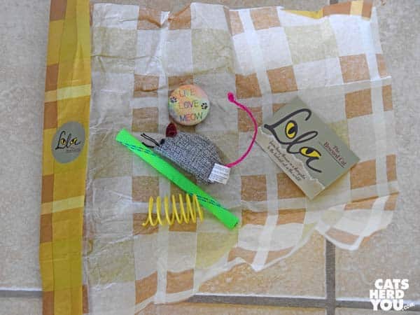 Gifts from Lola the Rescued Cat