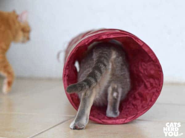 pierre_tunnel_003_wm