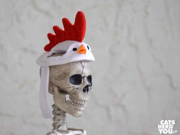 skeleton wearing chicken hat