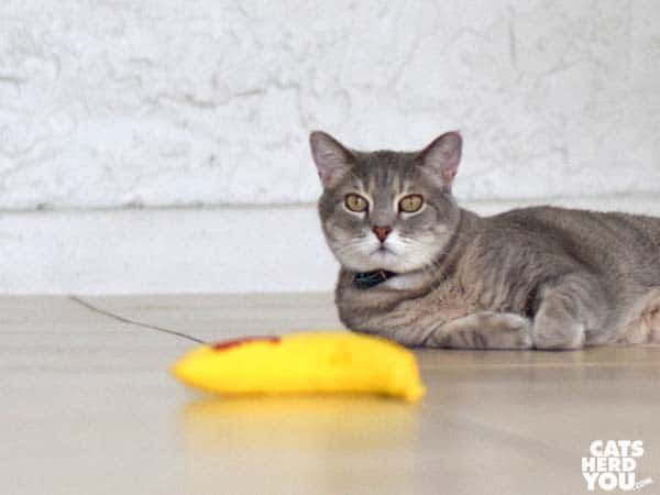 pierre_banana_01_wm