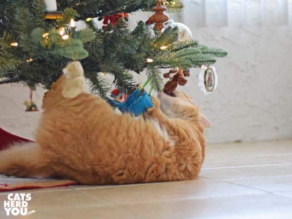 orange tabby cat playing with Christmas ornaments
