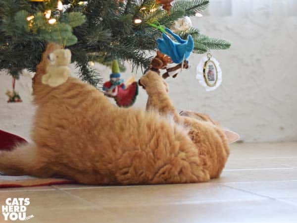 orange tabby cat playing with Christmas ornaments