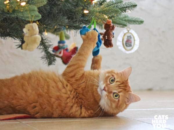 orange tabby cat busted playing with Christmas ornaments