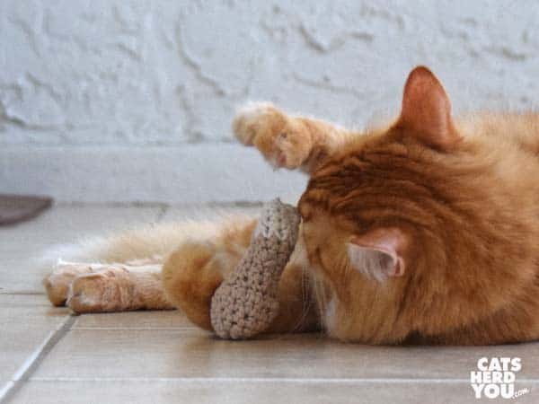 orange tabby cat plays with knit chicken leg toy