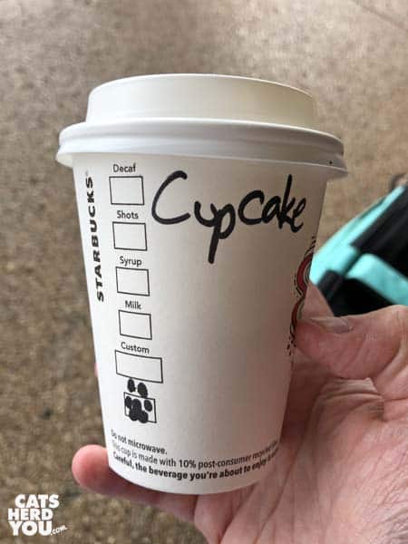 Cupcake Starbucks cup with paw instead of X