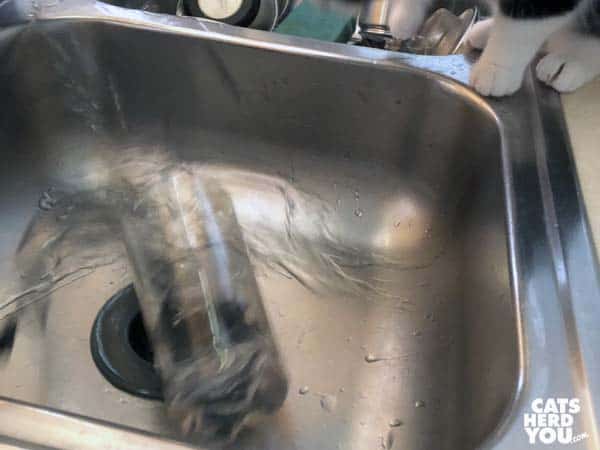 glass spills in sink