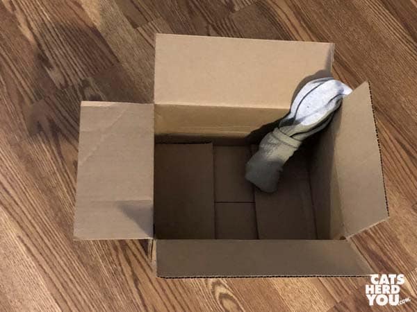 pair of socks draped over side of cardboard box