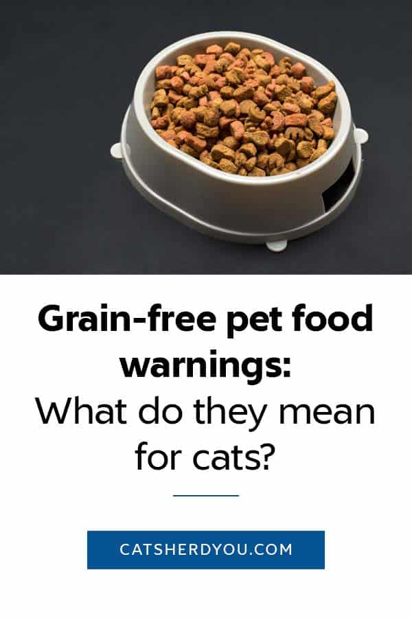Grain-free pet food warnings: What do they mean for cats? #cathealth #cats #catfood