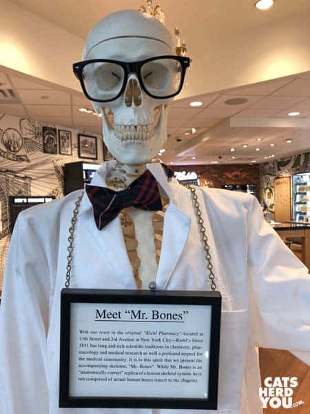 skeleton with mr bones sign